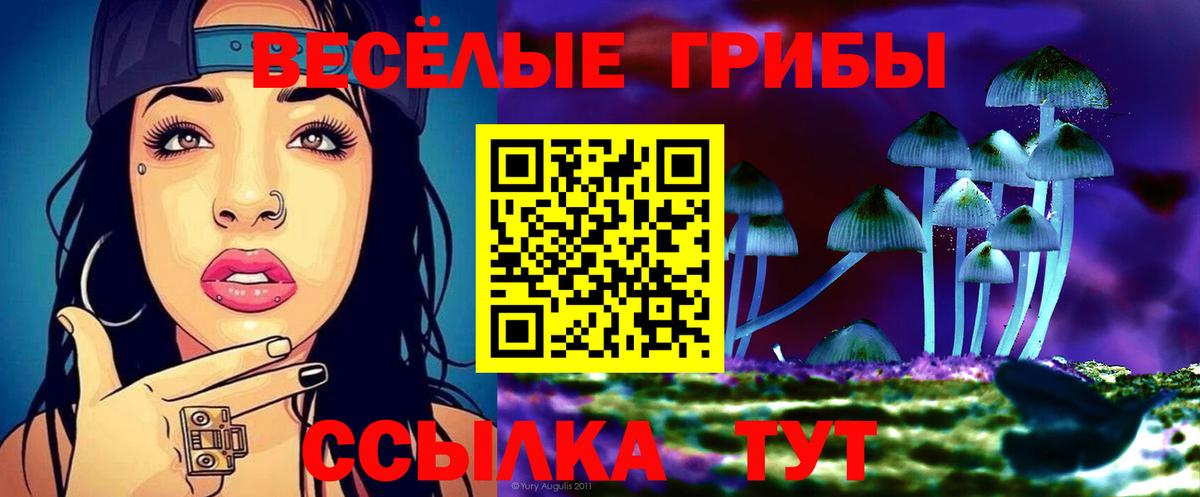 Реж  Псилоцибиновые грибы Psilocybine cubensis  цена   Вход с VPN  Псилоцибиновые грибы Psilocybine cubensis 